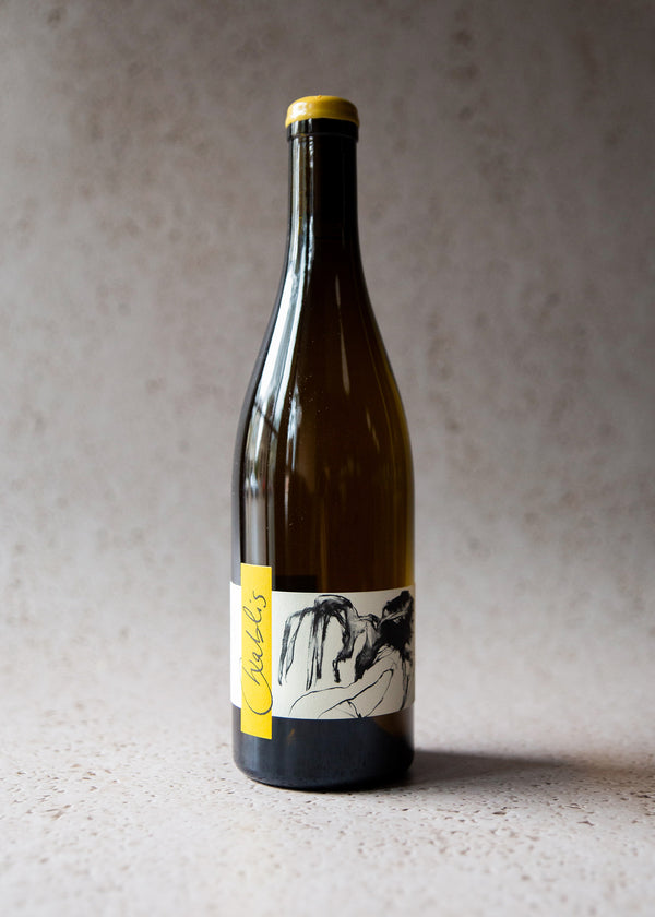 2019 Domaine Pattes Loup Chablis Villages "Vent d'Ange"